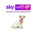 I consumatori premiano la fibra ultraveloce di Sky Wifi