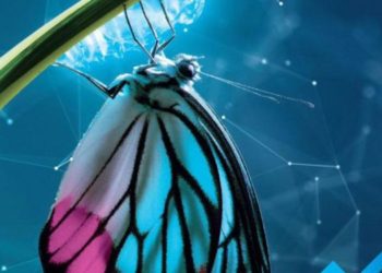 Scooter elettrici, arriva la start up 100% italiana Talet-e