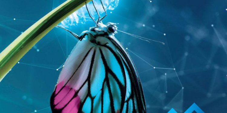 Scooter elettrici, arriva la start up 100% italiana Talet-e