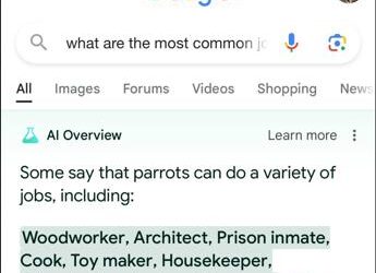 Google, nuovi problemi con l’IA: suggerisce di mettere la colla sulla pizza