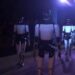 Elon Musk e l’inquietante sfilata dei robot: ecco Optimus, l’umanoide che ci aiuterà a fare tutto