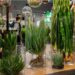 Myplant & Garden, edizione 2025 da record: focus su mercati e dossier comparto verde