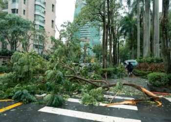 Incidente Stradale: chi paga i danni alle cose e alla strada