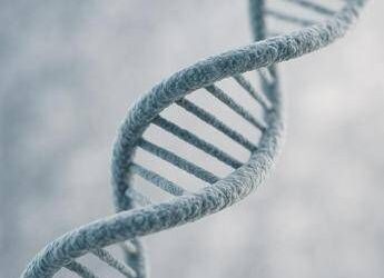 Genomica e AI: dalla Cina il modello “Genos” che identifica le mutazioni genetiche