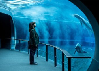 Presentata “Petra – terza stagione” su Sky Cinema e NOW l’8 e il 15 ottobre le nuove storie Sky Original con Paola Cortellesi