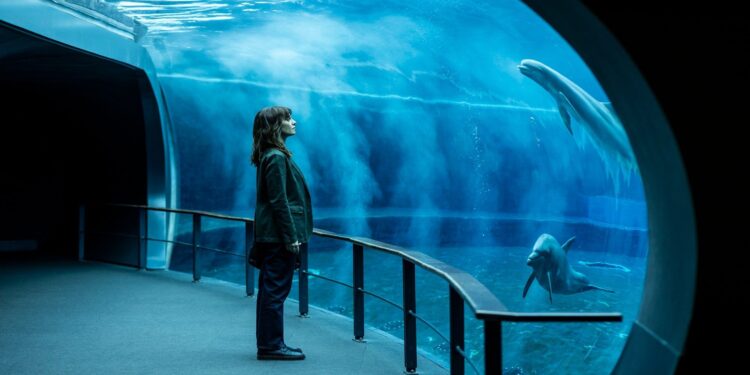 Presentata “Petra – terza stagione” su Sky Cinema e NOW l’8 e il 15 ottobre le nuove storie Sky Original con Paola Cortellesi