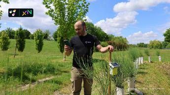 3Bee: decennale e obiettivi 2030 per la rigenerazione della biodiversità