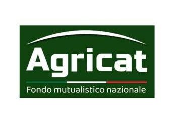 AgriCat 2026: al via le denunce di sinistro precompilate e digitali