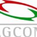 Social, che cosa significa la scritta “in elenco AGCOM” nelle bio