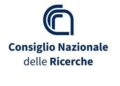 Sonda a fibra ottica per la cura dei tumori: lo studio CNR