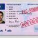 App IO e dieresi, il conflitto tecnico che blocca la patente digitale