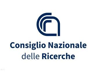 Il Cnr rivela che oltre il 43% degli studenti è stato interessato da episodi di violenza giovanile