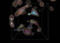 Mappata la struttura cosmica del Superammasso della Vela